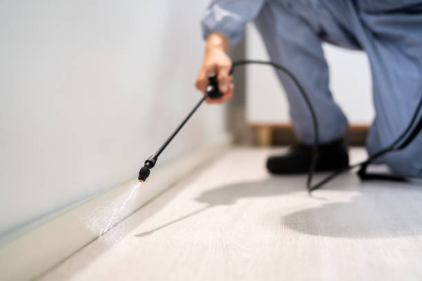 Professional exterminator conducting IPM assessment in Green River